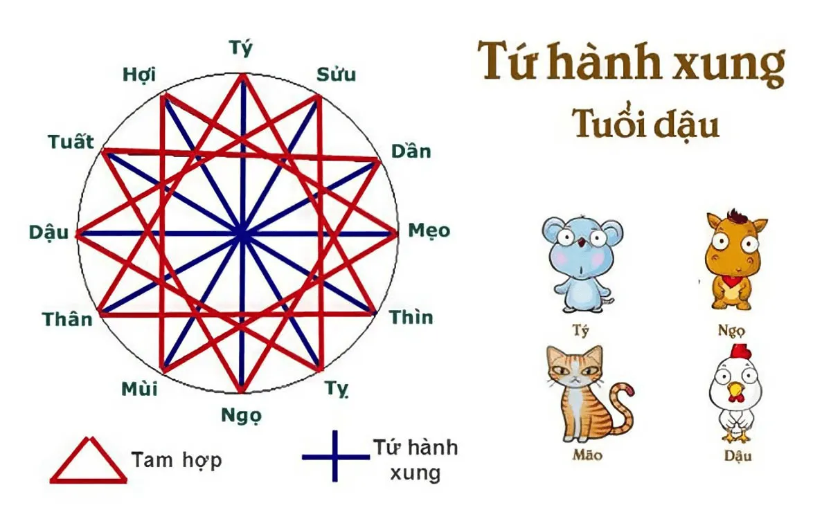 Tứ hành xung tuổi Dậu là gì? Cách hóa giải tứ hành xung tuổi Dậu