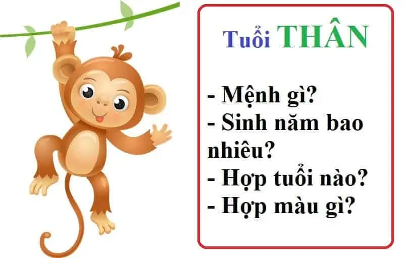 Tuổi Thân sinh năm bao nhiêu? Mệnh gì? Đặc điểm của người tuổi Thân?