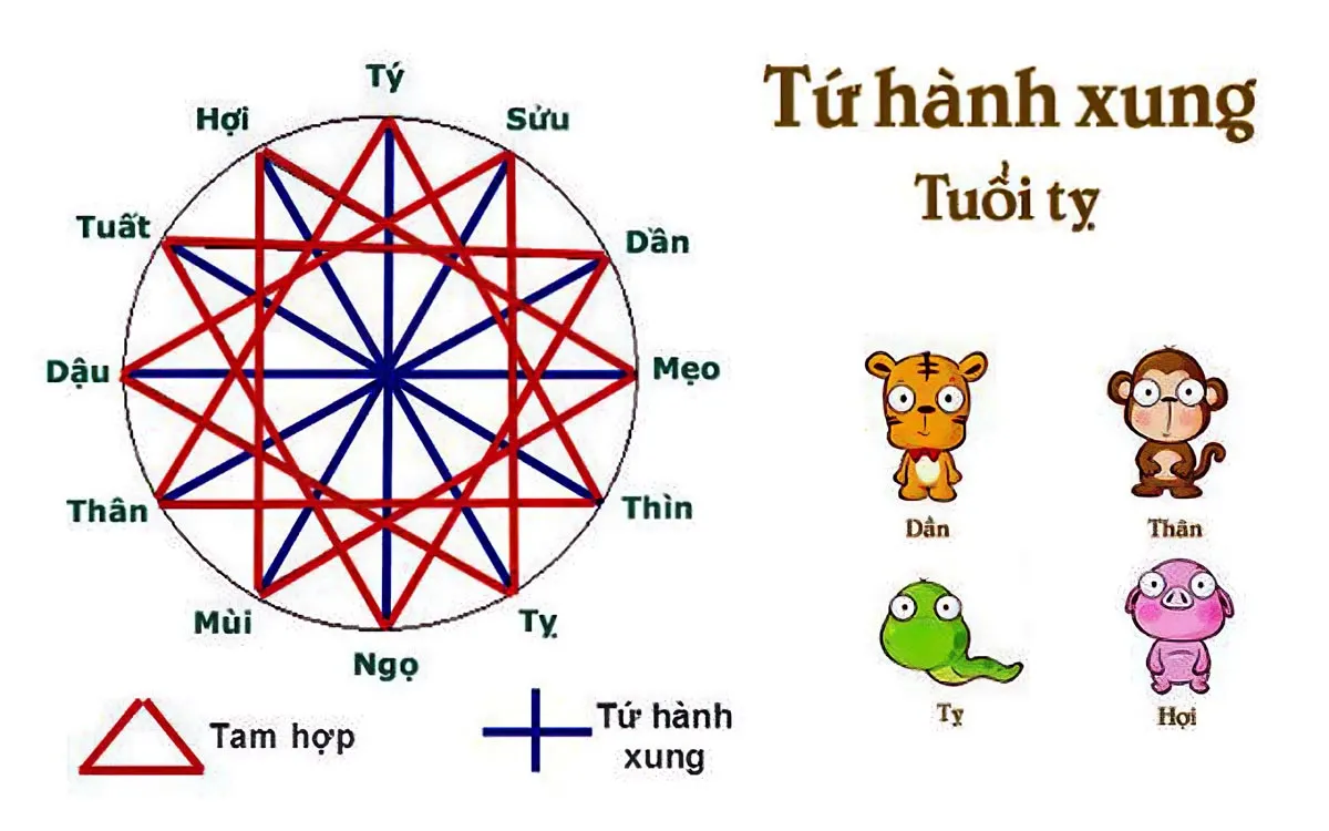 Tuổi Tỵ hợp khắc tuổi nào? Làm thế nào để hóa giải tứ hành xung của tuổi Tỵ?