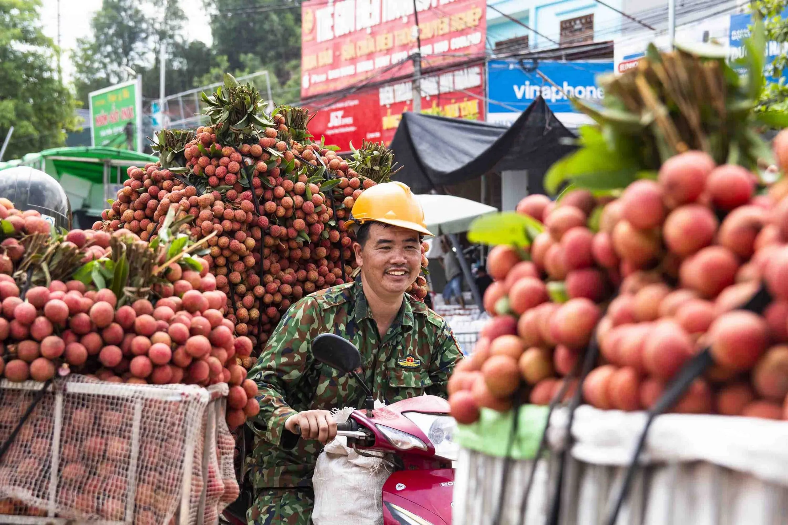 Vải thiều Lục Ngạn là đặc sản của tỉnh nào?