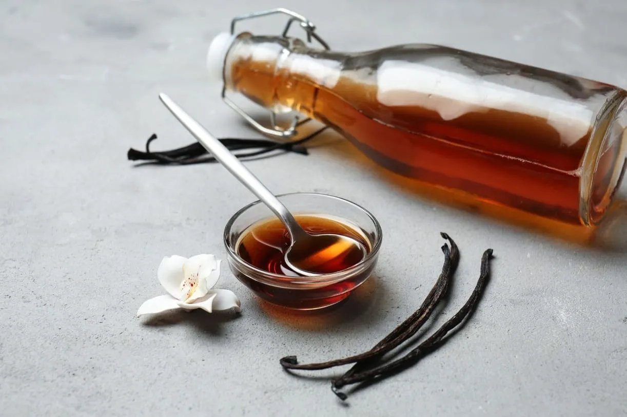 Vanilla là gì? Nguồn gốc, phân loại và tác dụng như thế nào?