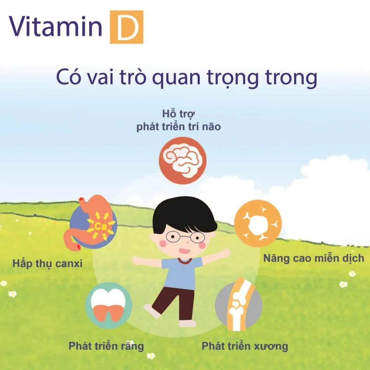 Vitamin D là gì? 3 cách bổ sung vitamin D hiệu quả nhất