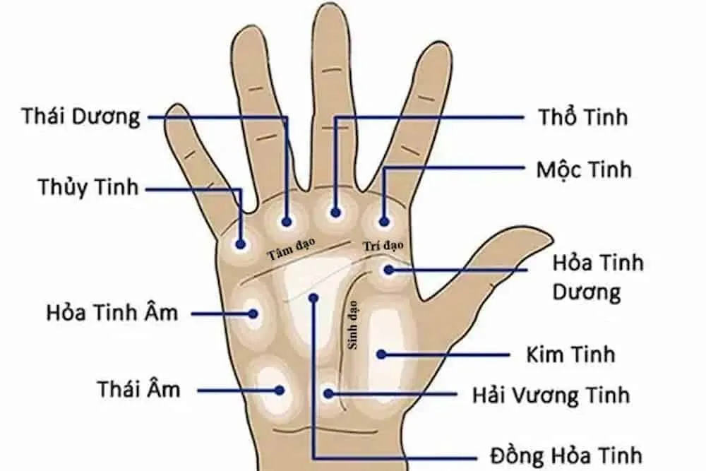 Xăm nốt ruồi phong thủy ở đâu để may mắn, vận đỏ cả đời?