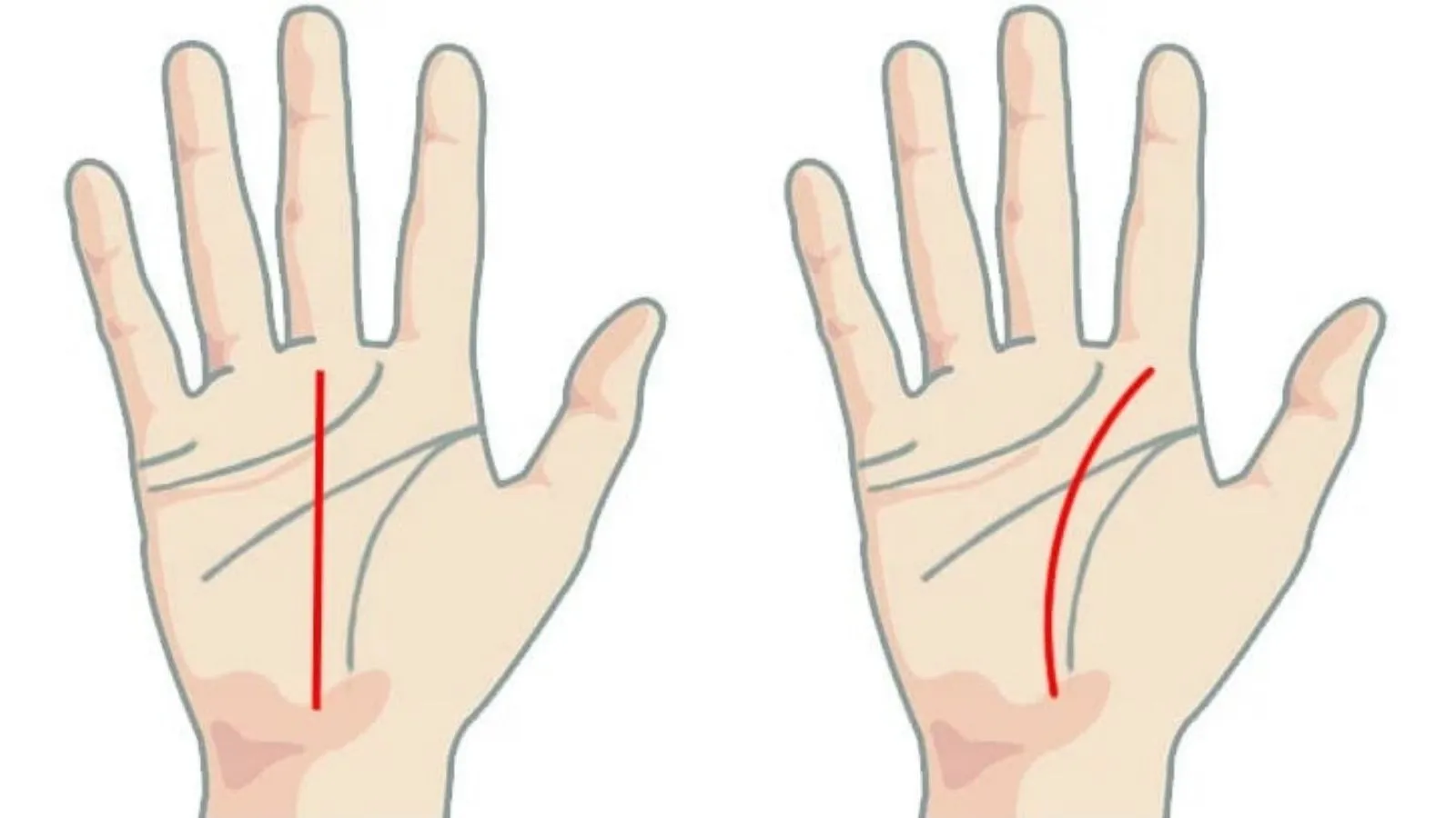 Xem chỉ tay là gì? Cách xem chỉ tay và có nên tin vào kết quả?