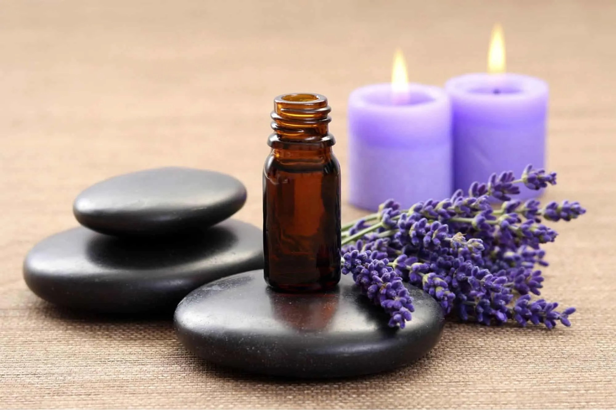 Ý nghĩa hoa Lavender? 3 loại hoa Lavender phổ biến nhất hiện nay